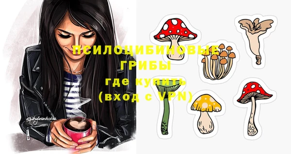 2c-b Михайлов