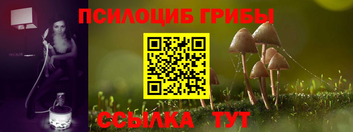 Галлюциногенные грибы мухоморы  Галлюциногенные грибы Magic Shrooms  Махачкала  Вход с VPN 